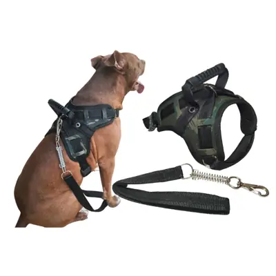 Foto do anúncio: Coleira pet resistente para cachorro pitbull labrador dogo rottweiller