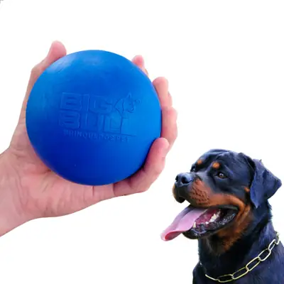 Foto do anúncio: Brinquedo Cachorros Grandes Bola Pet Pitbull Interativo Bolinha Maciça Resistente Big Bull Pet