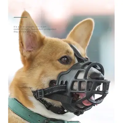Foto do anúncio: Focinheira Silicone para cachorros