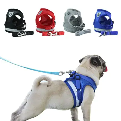 Foto do anúncio: Peitoral Mais a Guia para Cachorro Coleira Para Caes E Gatos Colete