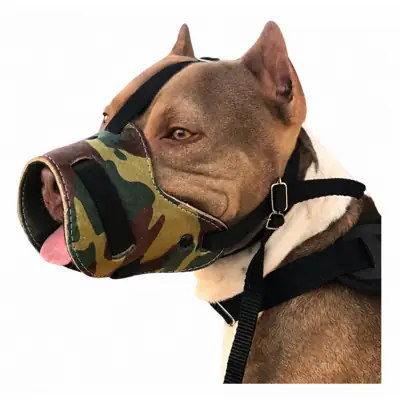Foto do anúncio: Focinheira para cachorros de Médio e Grande Porte Pitbull Rottweiler