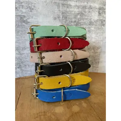 Foto do anúncio: Kit 6 Coleiras de Couro para Cachorro Ajustável Pequeno Médio Grande