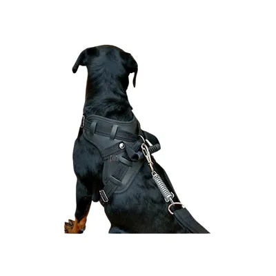 Foto do anúncio: OFERTA ! Peitoral Coleira para Cachorro em couro sintético com alça + Guia com amortecedor Pet Pitbull Pastor Rottweiler