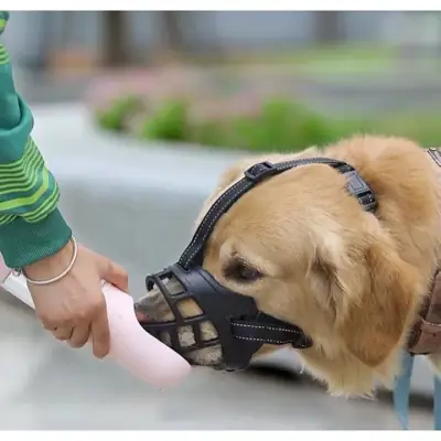 Foto do anúncio: Focinheira Silicone para cachorros