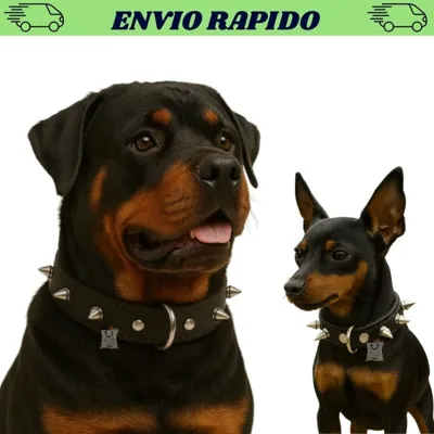 Foto do anúncio: Coleira De Couro Cachorro Fina Com Cravo (Spike) Ajustável Reforçada Pet Pequeno Médio Porte Envio 24 Horas
