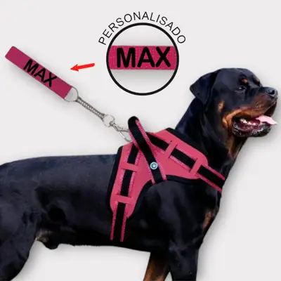 Foto do anúncio: Coleira e Guia para cachorro nome personalizado coleira peitoral