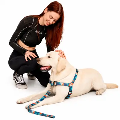 Foto do anúncio: Coleira Anti Puxão Com Guia Para Adestramento de Cachorro Modelo anti