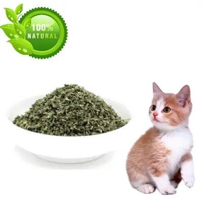 Foto do anúncio: Catnip Erva Do Gato 100% Natural Deixa o Gato Feliz.