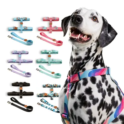 Foto do anúncio: Coleira Peitoral H e Guia Toh para Cachorro Fita Premium 100% Poliéster Fecho Resistente