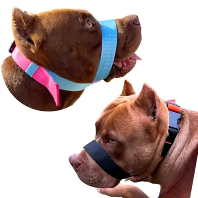 Foto do anúncio: A Melhor Focinheira Do Mercado Pet Para Cachorro Cão Pitbull Salu Pet