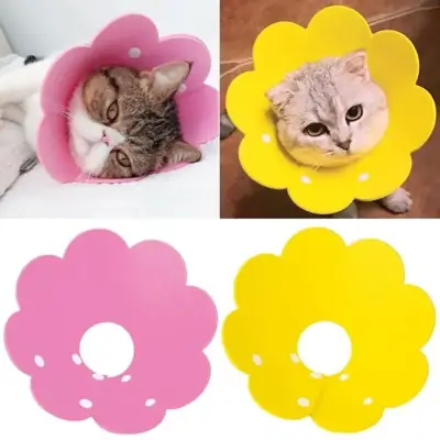 Foto do anúncio: Colar Elizabetano Flor Ajustável e Anti-Mordida Pet Pequeno Médio Porte