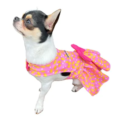 Foto do anúncio: Vestido Pet Verão Roupinha Cachorro Gato Poliéster Aumei