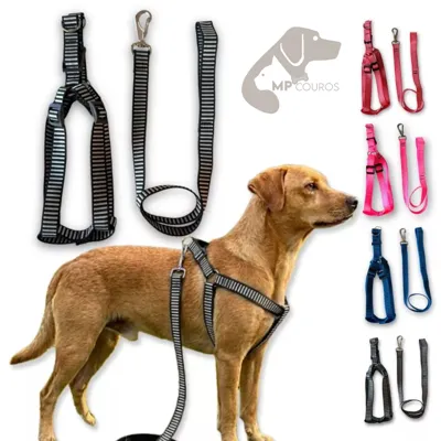 Foto do anúncio: Peitoral americano coleira Ajustável para Cães Médio Grande porte com Guia Fita Reforçada para cachorros