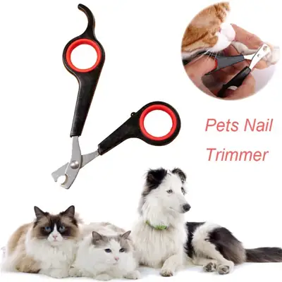 Foto do anúncio: Tesoura De Unhas Inox Para Cachorros / Gatos/ Coelho/Pets