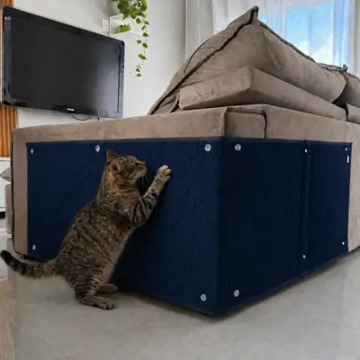 Foto do anúncio: Arranhador Carpete Premium para Gato Protetor Sofá Cama Box - Petliz