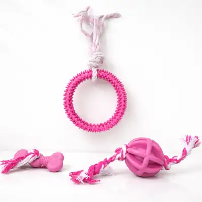 Foto do anúncio: Kit 3 Brinquedos Mordedores para Cachorro Borracha Resistente Cães