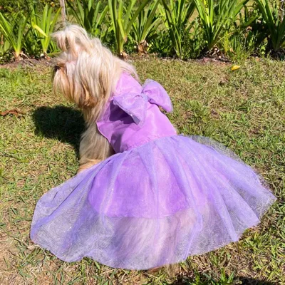 Foto do anúncio: Vestido Para Cachorro Femea Encantado Gaby Pet Roupa com Tule e Glitter Brilhante Pequenos e Médios Roupa de Festa