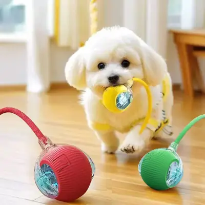 Foto do anúncio: Bola Brinquedos De Rolamento Automático Cauda Do Falso Recarregável