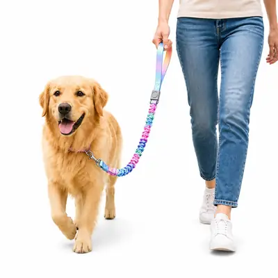 Foto do anúncio: Kit Guia Elástica e Coleira para Cachorro Anti Puxão com Amortecedor