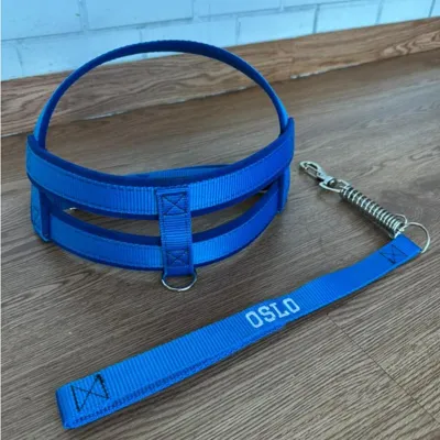 Foto do anúncio: Coleira peitoral para cachorros de medio grande porte pet resistente dog reforçada varias cores