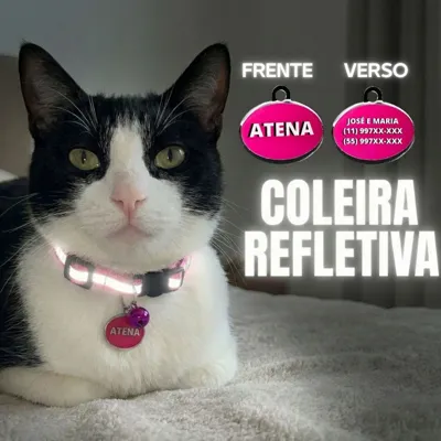 Foto do anúncio: Coleira gato REFLETIVA ANTI ENFORCAMENTO com plaquinha identificação gravada NOME