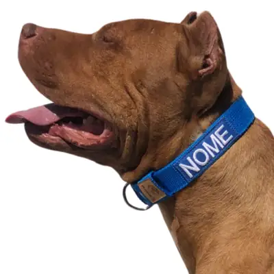 Foto do anúncio: Coleira slim personalizada forte para cachorro de médio e grande porte.