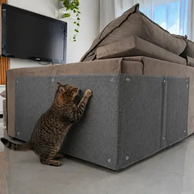 Foto do anúncio: Arranhador Carpete Grande 130x50/200x50 CM para Gato Protetor Canto