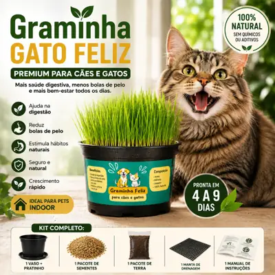 Foto do anúncio: Graminha para Gatos Capim Petisco Ajuda Digestão Fácil de Plantar