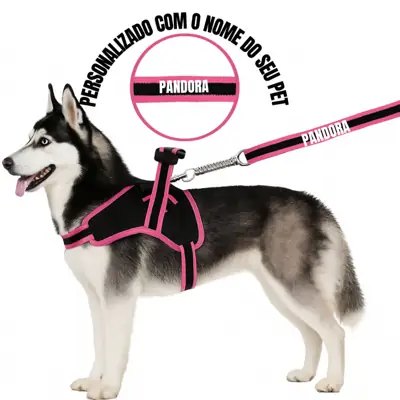Foto do anúncio: Coleira e Guia para cachorro nome personalizado Peitoral pequeno médio