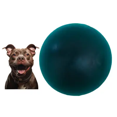 Foto do anúncio: Bola Grande Lisa 100mm Resistente Maciça Cães Porte Grande Pitbull, Rottweiler, American Bully e similares