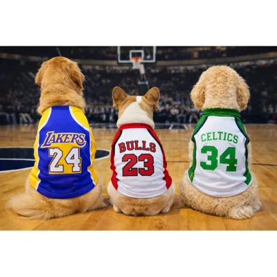 Foto do anúncio: camiseta Regata pet Basquetebol para cachorro e gato primavera verão