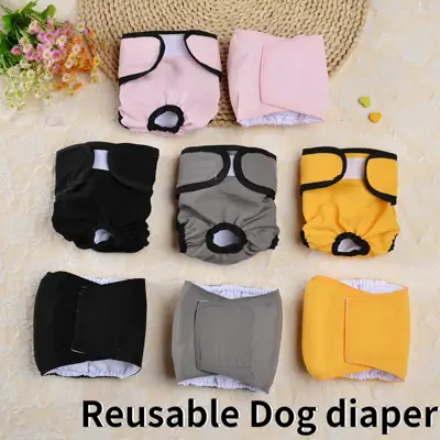 Foto do anúncio: Calça Fisiológica Para Cachorro Masculino E Feminino À Prova D'água