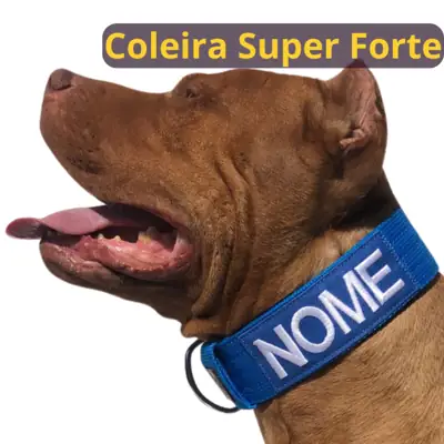 Foto do anúncio: Coleira personalizada para cachorro de médio e grande porte.