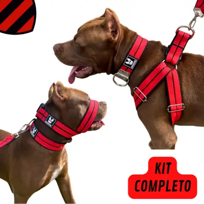 Foto do anúncio: Super Kit Guia Coleira Peitoral Focinheira Para Cachorro Pet Adulto