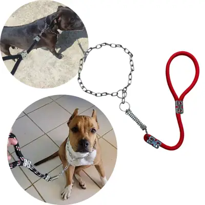 Foto do anúncio: Guia enforcador corrente com mola resistente cachorro medio e grande