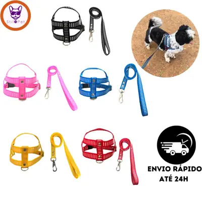 Foto do anúncio: Coleira Peitoral para Cachorro Pet Raças Pequenas + Guia