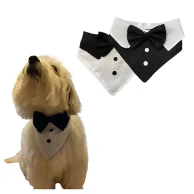 Foto do anúncio: Bandana Social para Pet, com Gravata, para Eventos, Casamentos, Festas