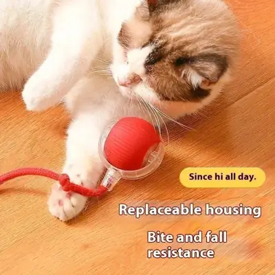 Foto do anúncio: Inteligentes Brinquedos Para Gatos Bola De Rolamento Automática Cauda
