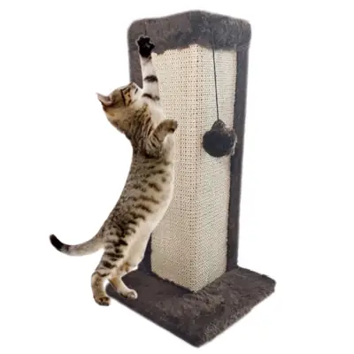 Foto do anúncio: Arranhador Para Gatos Canto de Sofá Com Brinquedo Bolinha Interativa