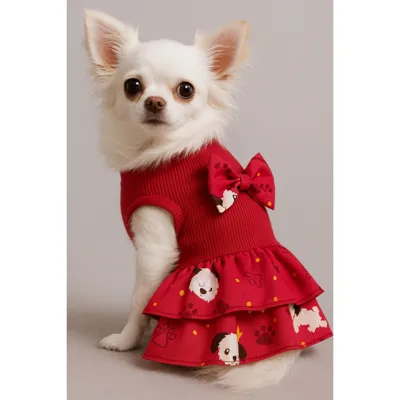Foto do anúncio: Vestido Pet para Cachorra com 2 Babados - Roupinha para Cachorro Pequeno - Várias Cores e Estampas