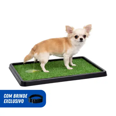 Foto do anúncio: Tapete Higiênico Grama Sintética Sanitário Pet Lavável Cães e Gatos