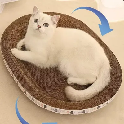 Foto do anúncio: Cama Arranhador de Papelão Ondulado Para Gatos
