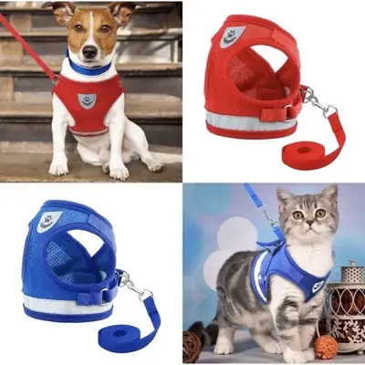 Foto do anúncio: Peitoral Com Guia para Caes E Gatos Colete Regulavel Super Confortavel