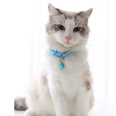Foto do anúncio: Coleira Teddy Ajustável Universal para Cães e Gatos com Sino
