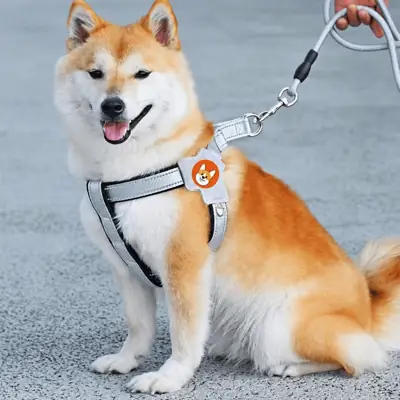 Foto do anúncio: Colete Peitoral para Cães com Guia 1,5m Refletivo Ajustável Conforto Passeio Pet