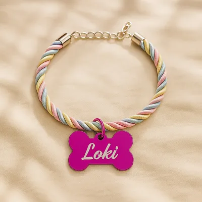 Foto do anúncio: Coleira Pet Personalizada para Cachorro Gato Macho Fêmea – Com Nome Gravado