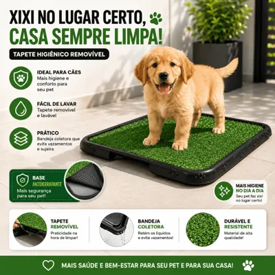 Foto do anúncio: Sanitário Canino Xixi Pet Tapete Higiênico Grande Grama Sintética Lavável