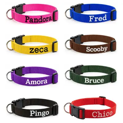 Foto do anúncio: Coleira Cachorros Personalizada com Nome Fitas Sedosas Reguláveis PP