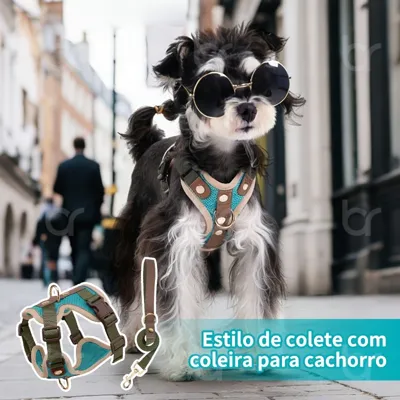 Foto do anúncio: Peitoral Coleira Resistente Para Pet Cão Grande e Médio Porte com Regulagem Colete Reforçado para Passeio Cachorro