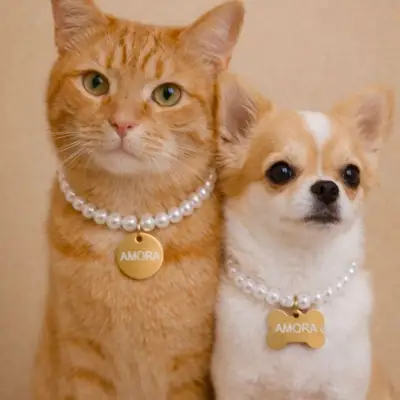 Foto do anúncio: Colar pet plaquinha de identificação com perola para gato e cachorro